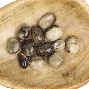 Chocolate Calcite Tumbled