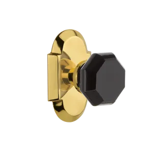 Cottage Short Plate with Black Waldorf Knob in Polished Brass