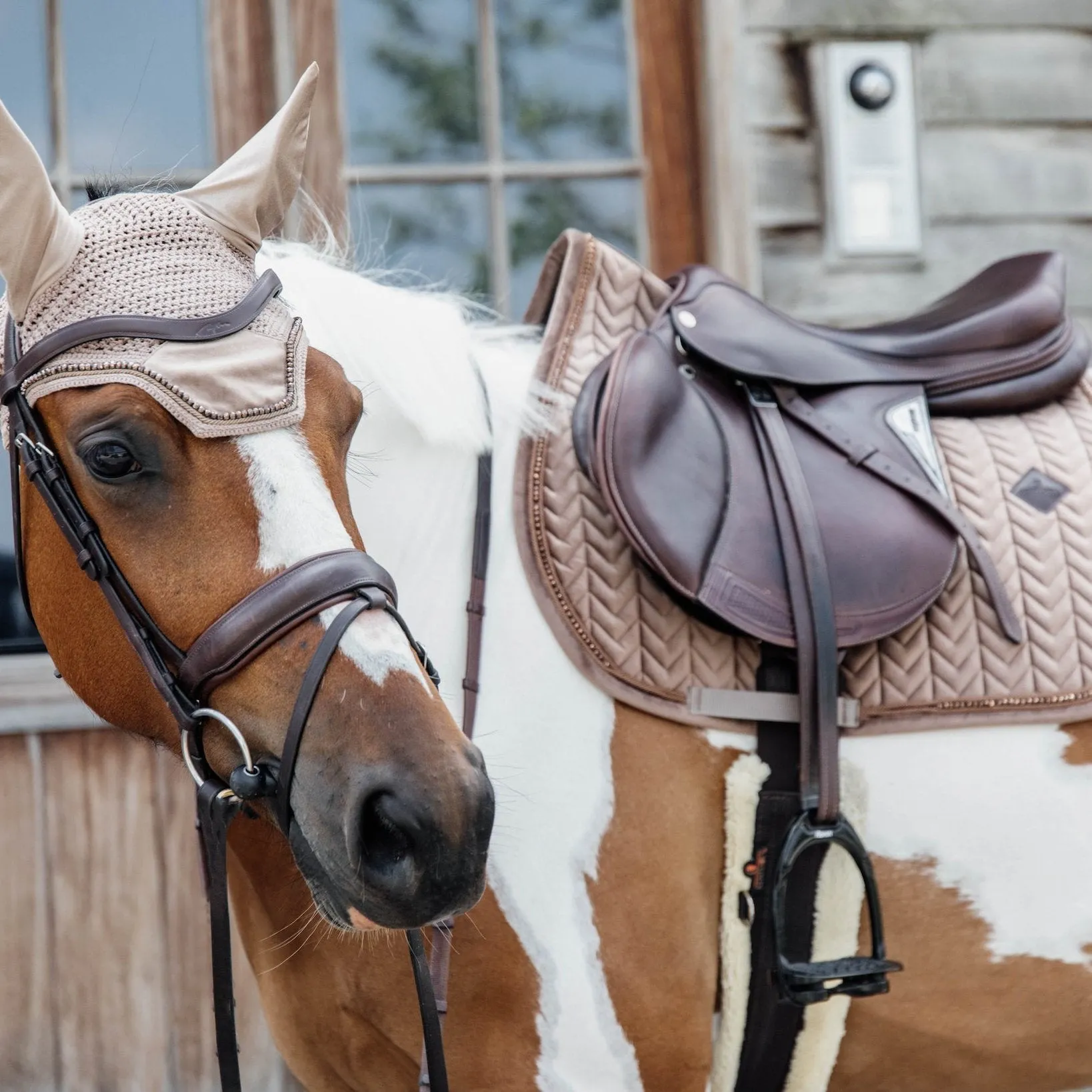 Kentucky Horsewear Saddle Pad Basic Velvet Pearls Jumping, Beige