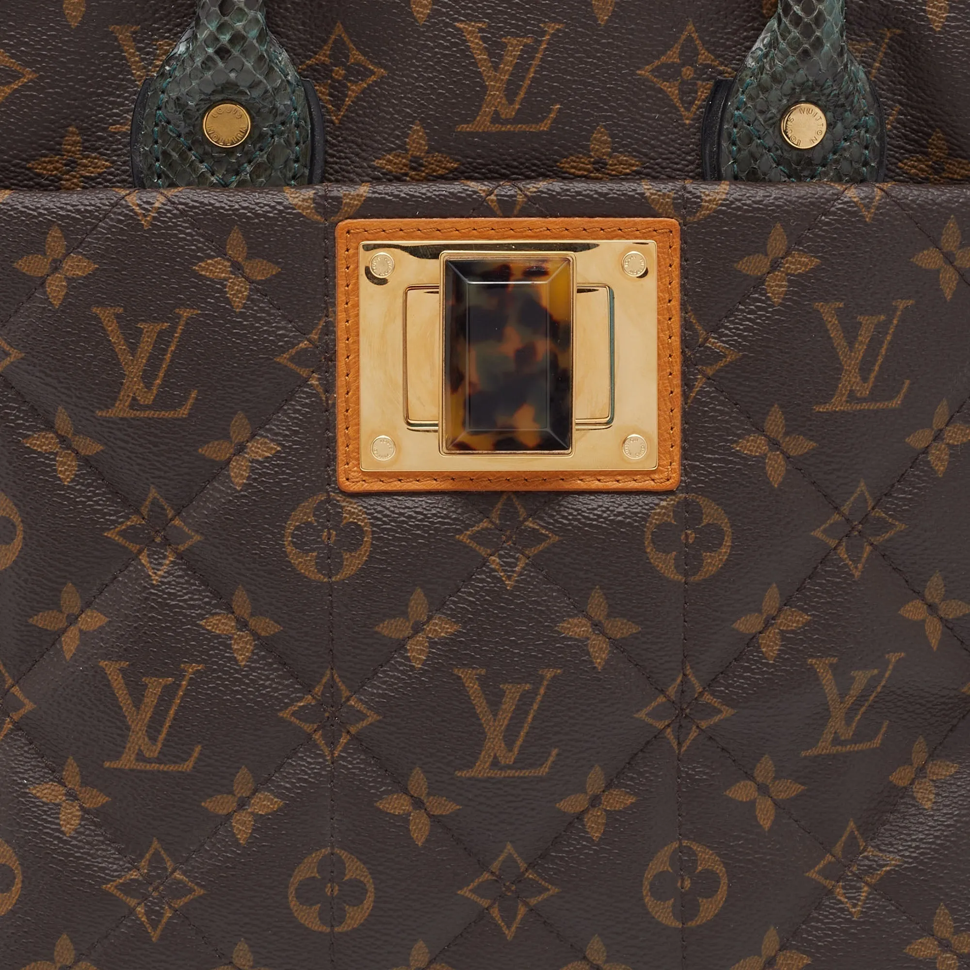 Louis Vuitton Monogram Canvas Limited Edition Etoile Exotique MM Bag