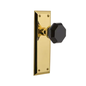 New York Long Plate with Black Waldorf Knob in Polished Brass