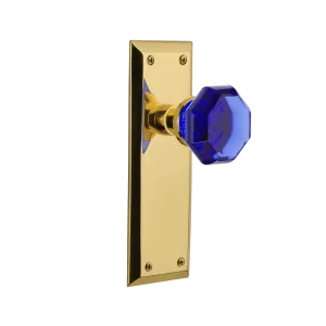 New York Long Plate with Cobalt Waldorf Knob in Unlacquered Brass