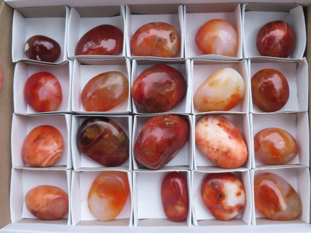 Polished Stunning Carnelian Agate Palm Stones  x 20 From Madagascar