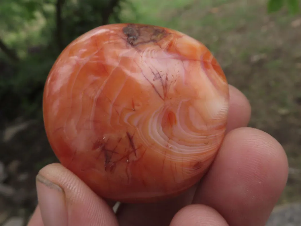 Polished Stunning Carnelian Agate Palm Stones  x 20 From Madagascar