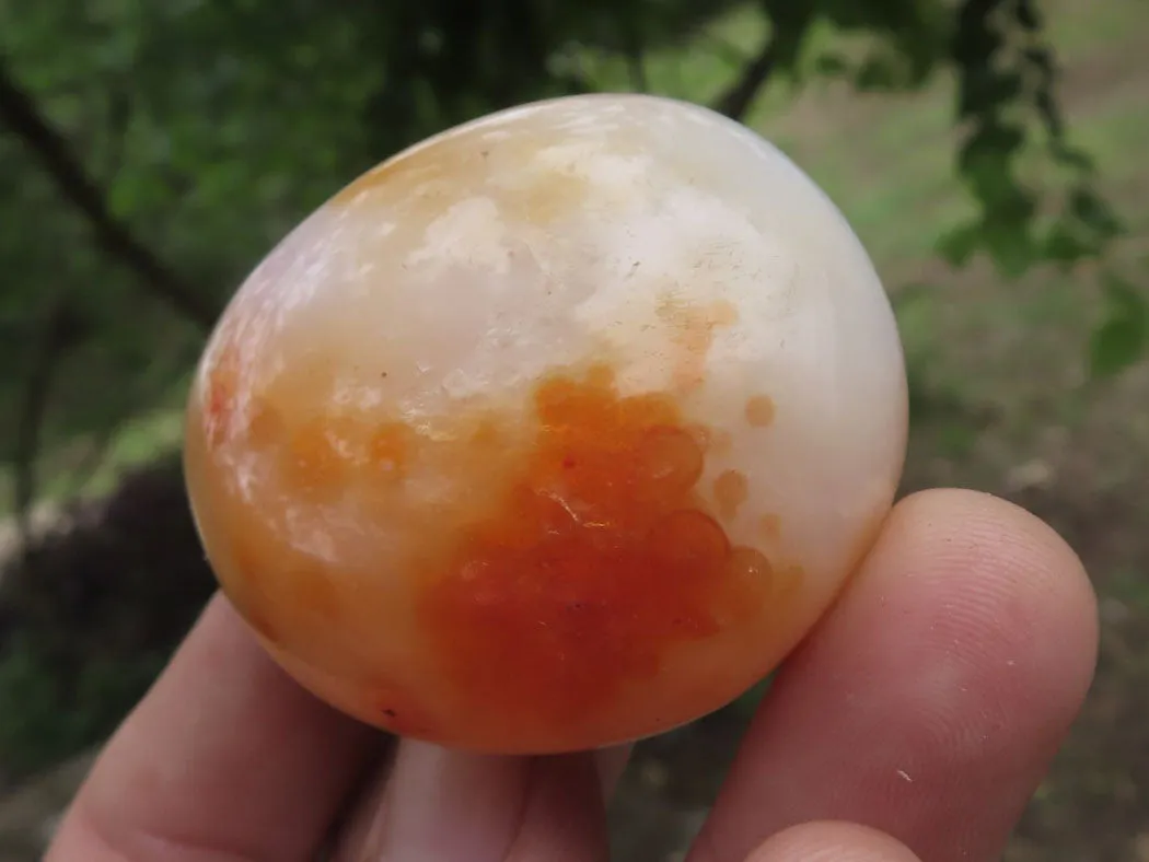Polished Stunning Carnelian Agate Palm Stones  x 20 From Madagascar