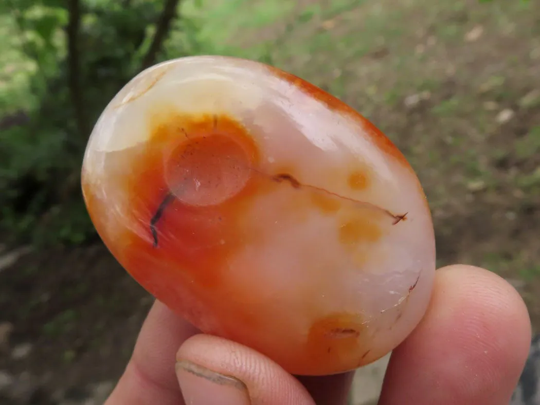 Polished Stunning Carnelian Agate Palm Stones  x 20 From Madagascar