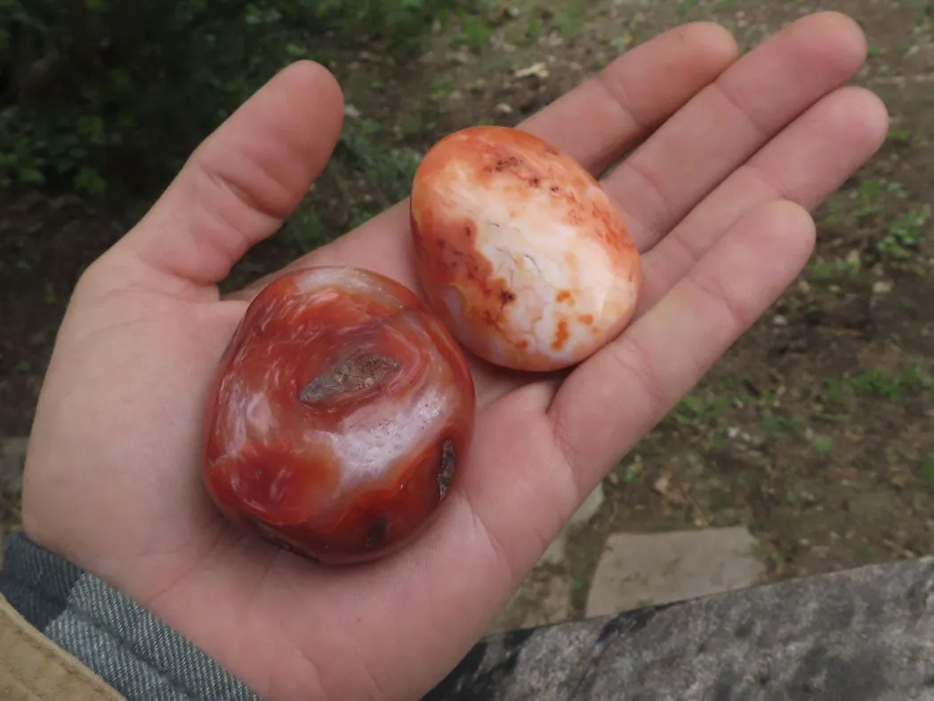 Polished Stunning Carnelian Agate Palm Stones  x 20 From Madagascar