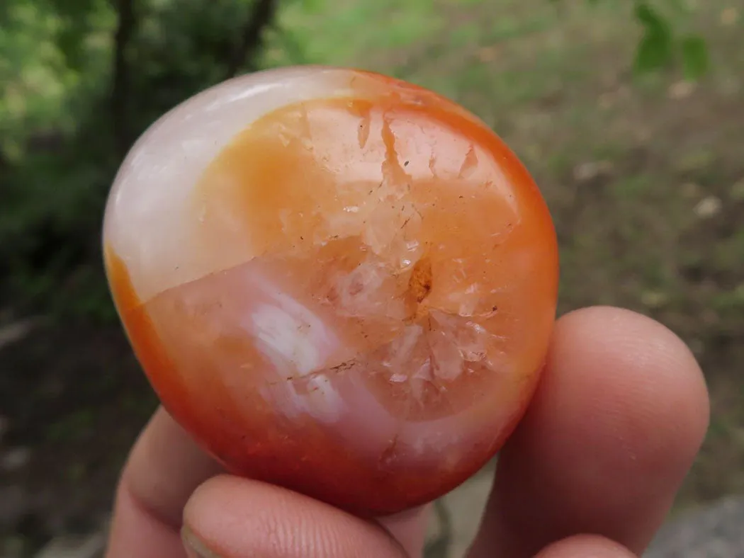 Polished Stunning Carnelian Agate Palm Stones  x 20 From Madagascar