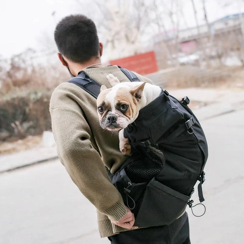 Puppy Carrier Backpack