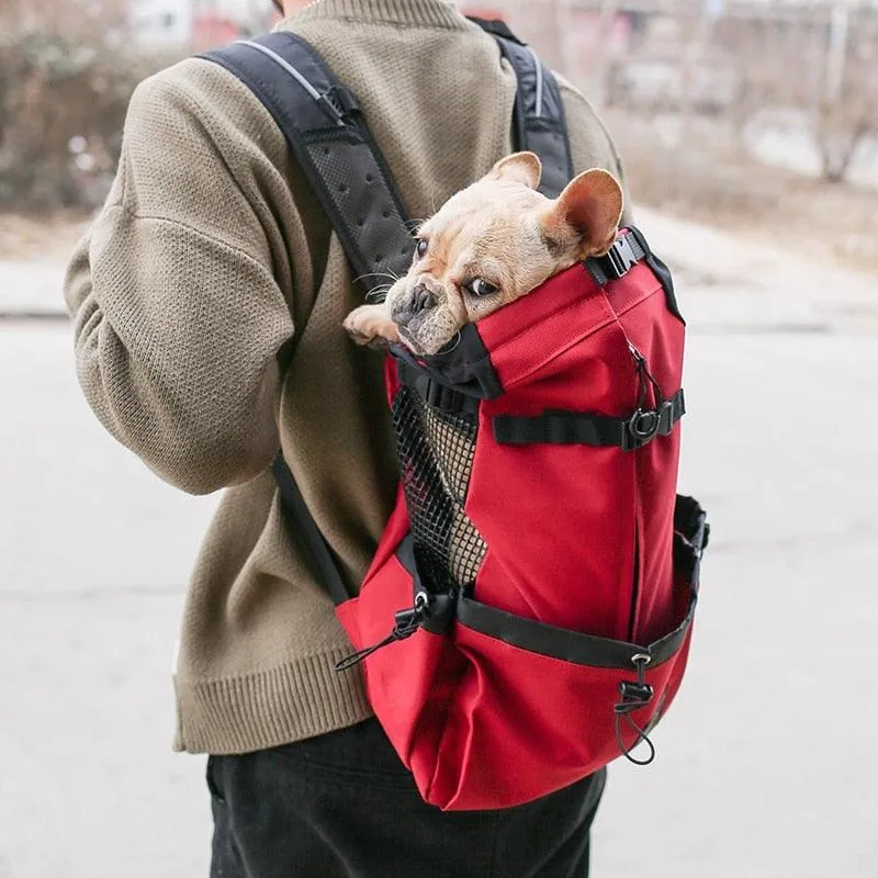 Puppy Carrier Backpack