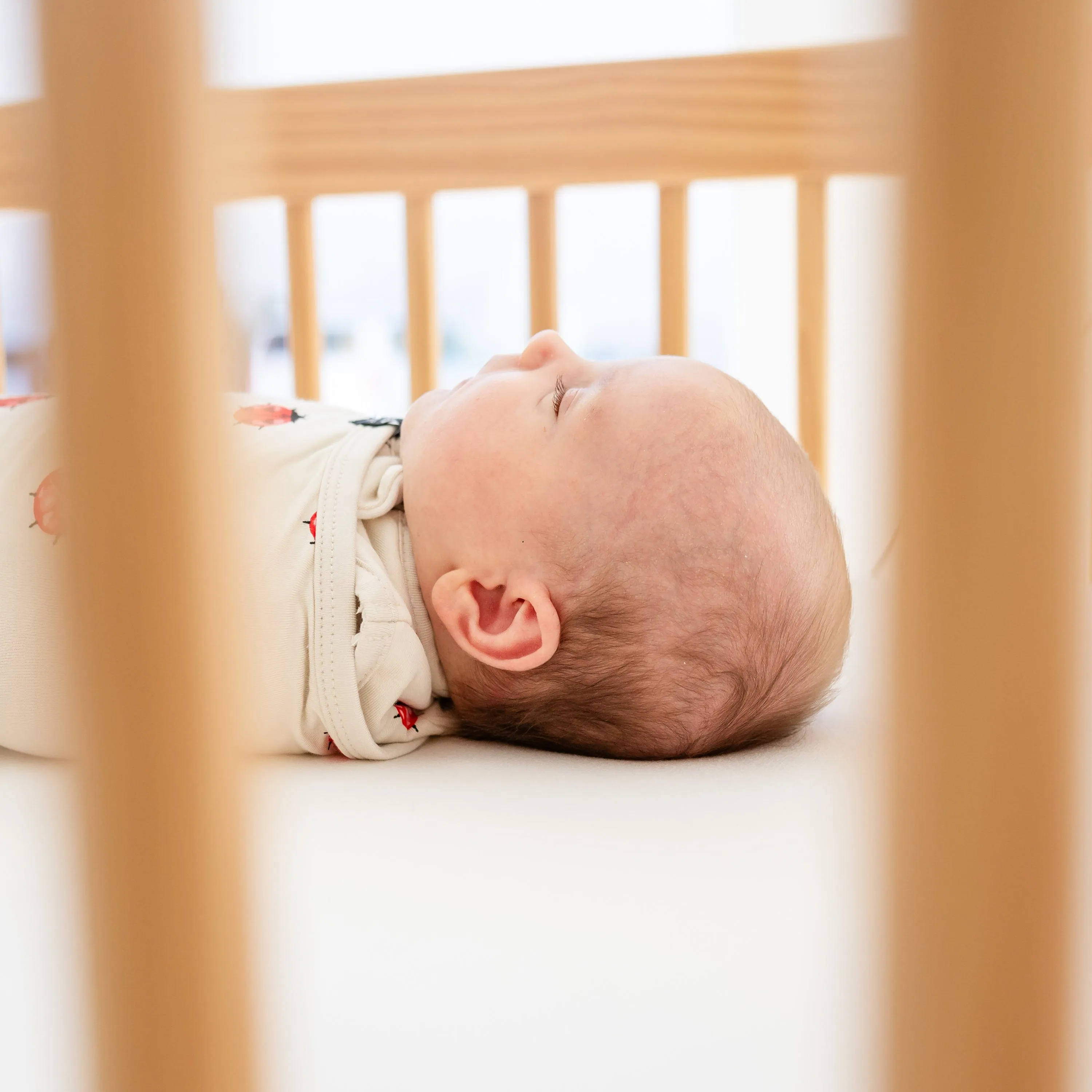 Sleep Bag Swaddler in Love Bug 1.0