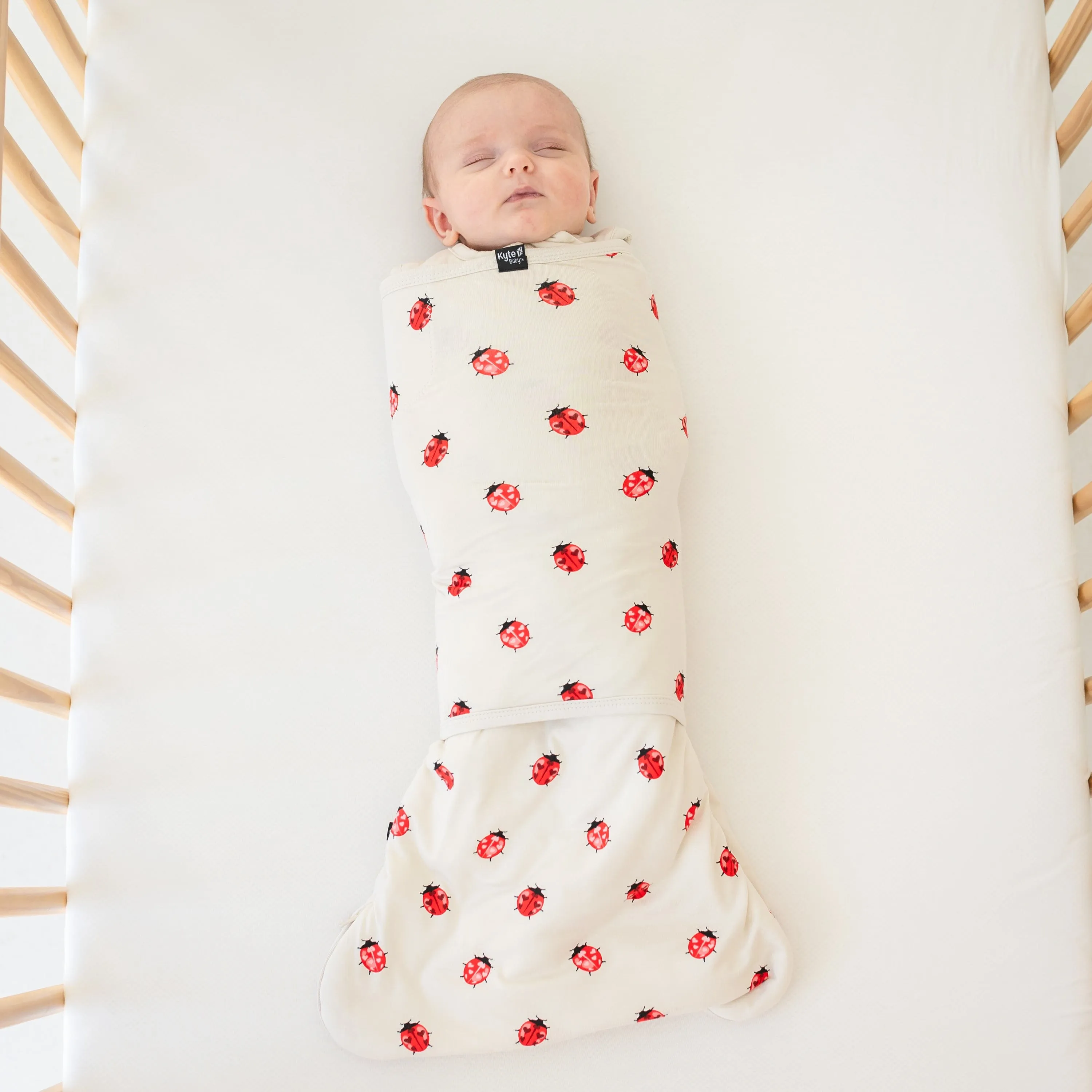 Sleep Bag Swaddler in Love Bug 1.0