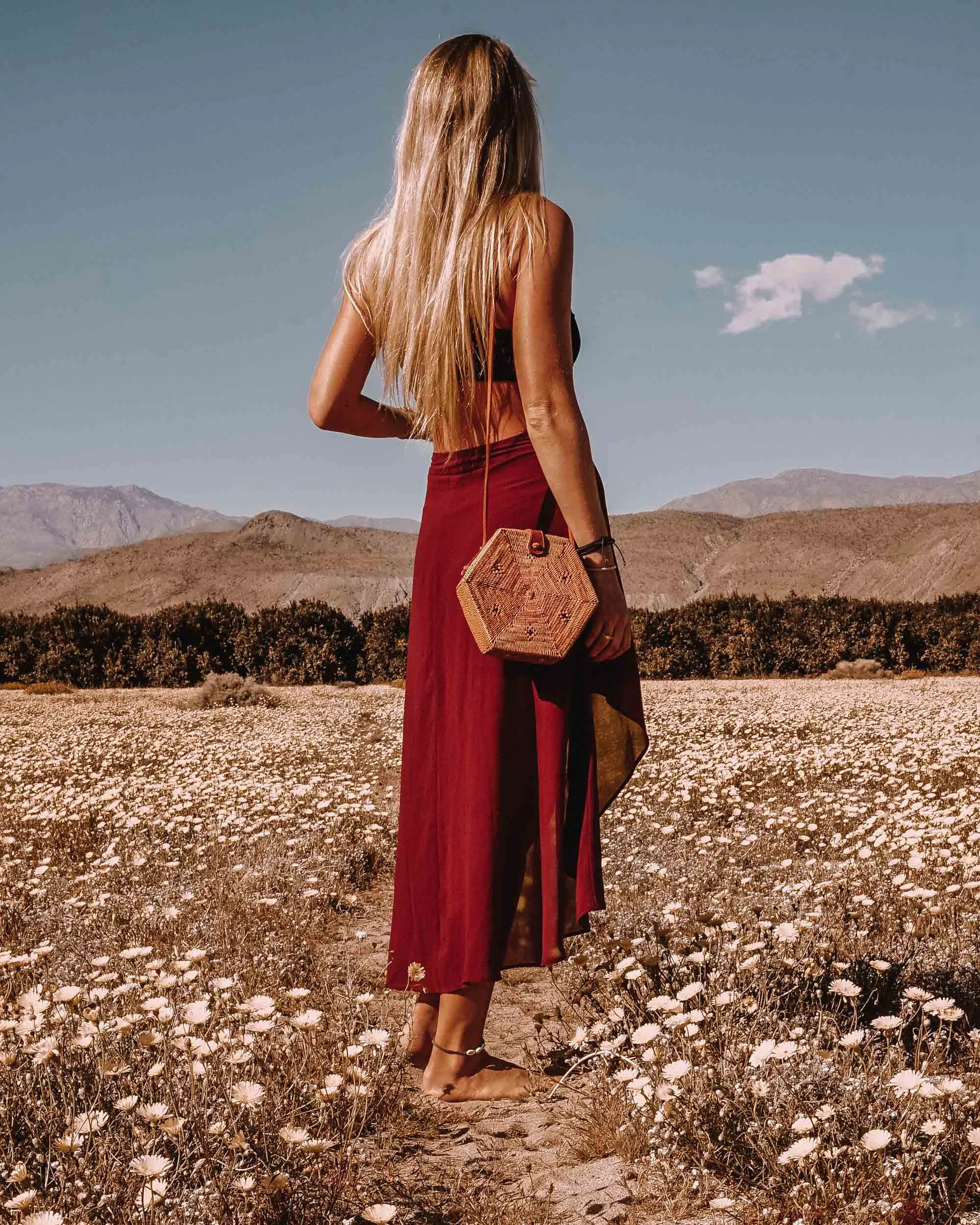 Vegan Hexagon Rattan Bag